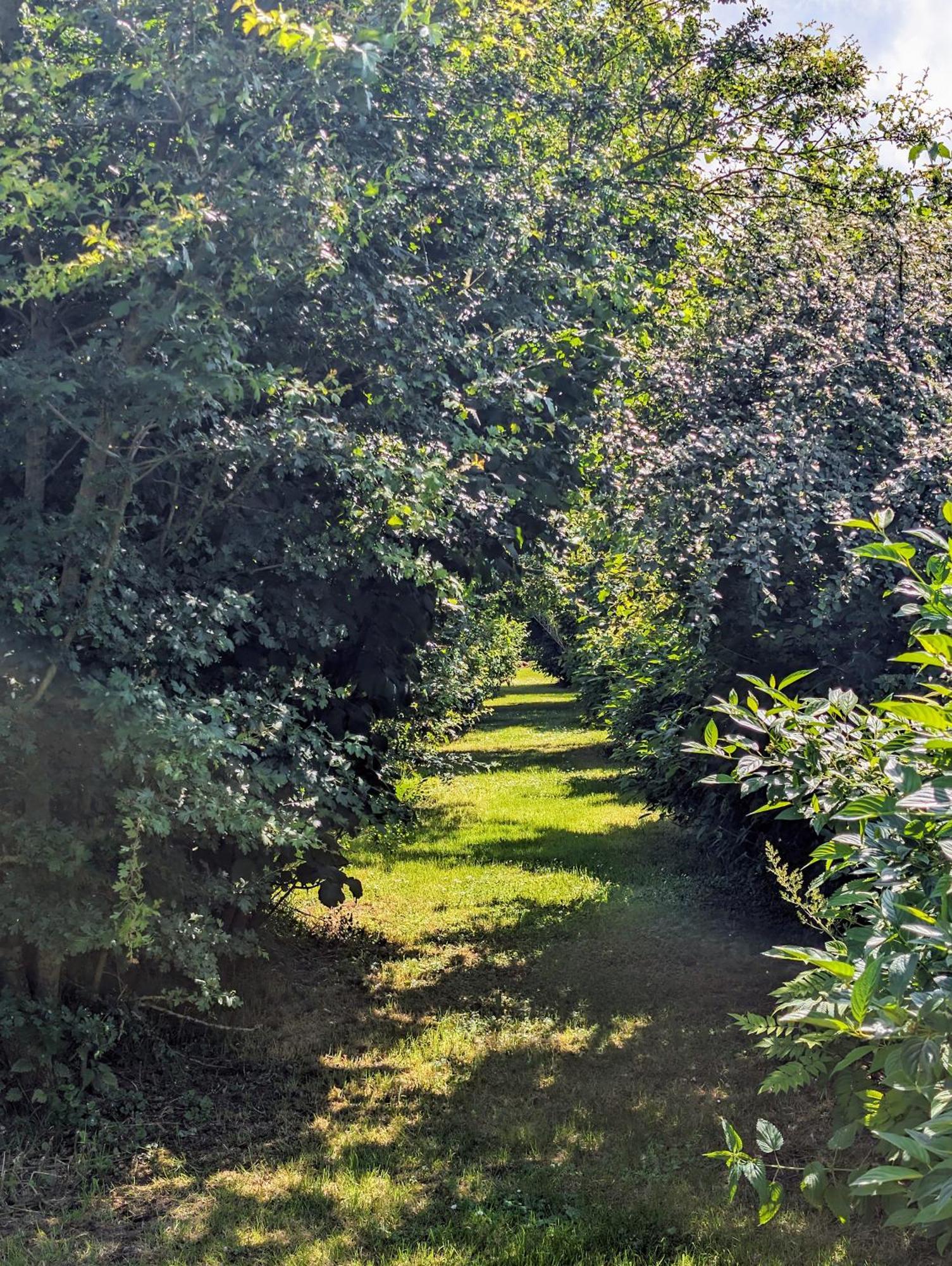Le Relais Du Beffroi & Spa Saint-Riquier 외부 사진